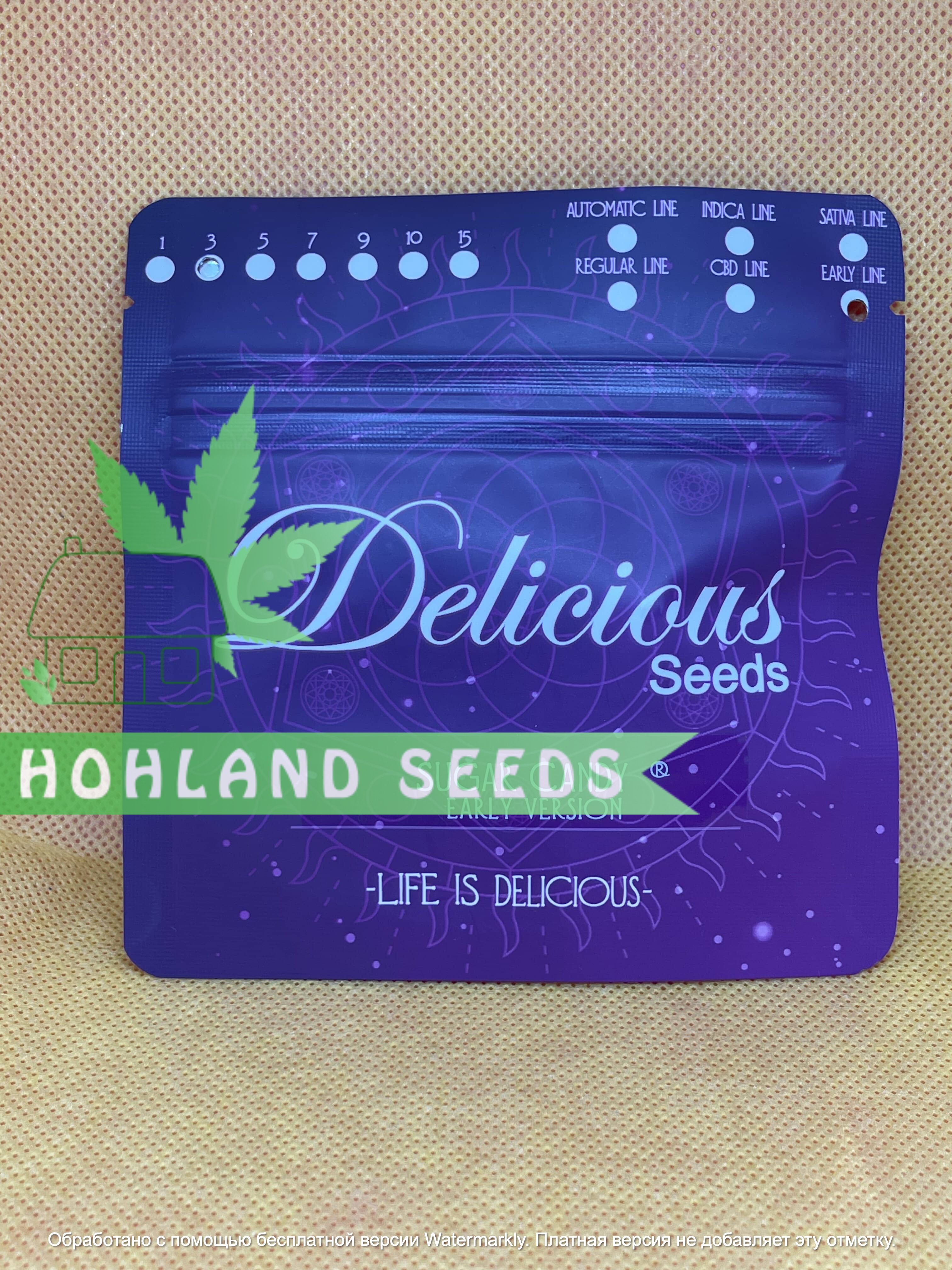 Sugar Candy Early Version Sugar Candy Early Version